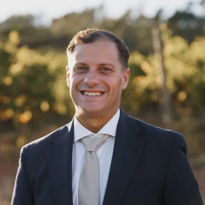 fábio santos chief software architect