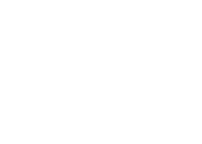 trust logo labit e white